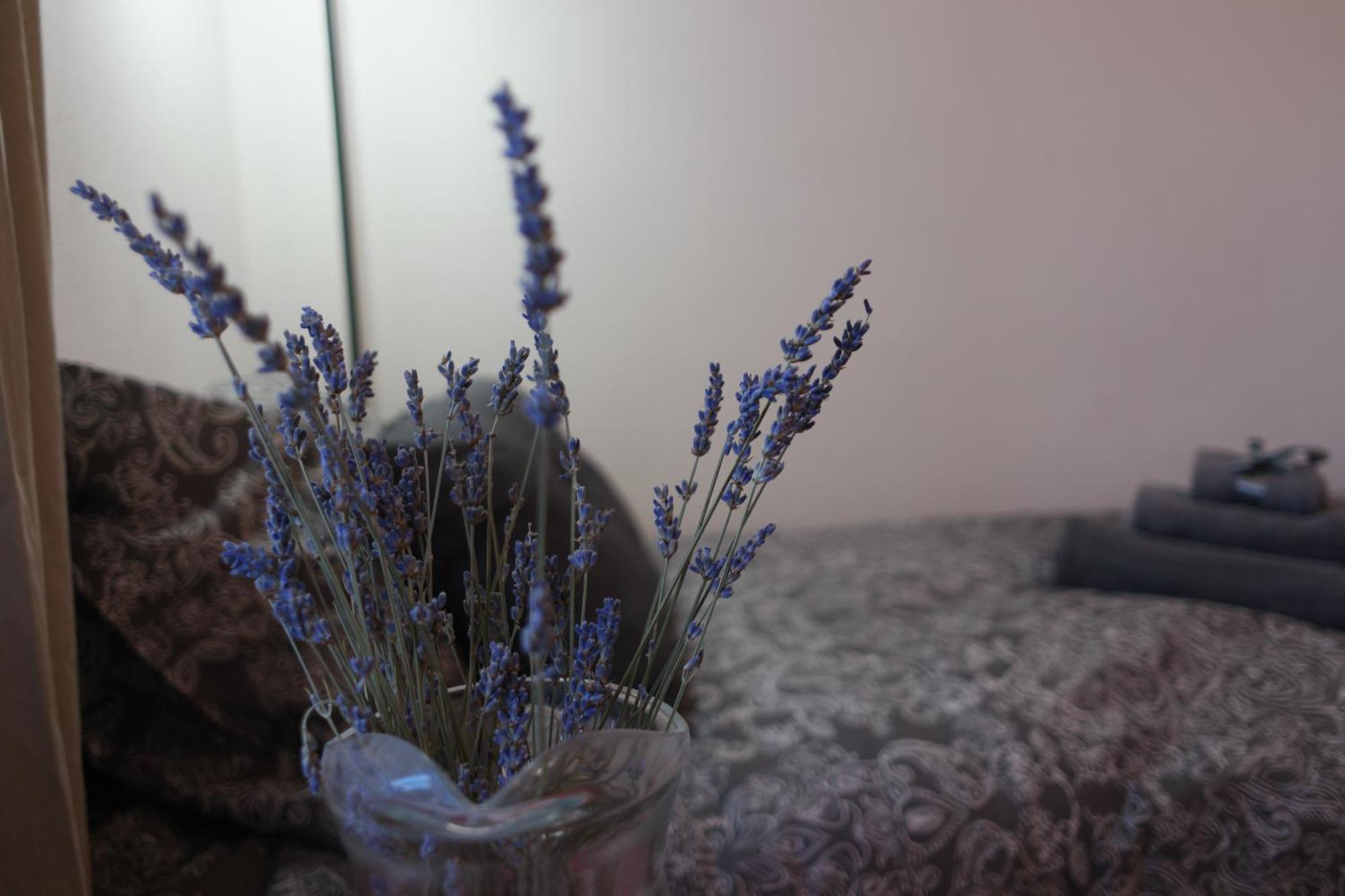 Appartement Il Nido Di Mariro à La Spezia Extérieur photo